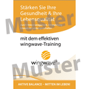 wingwave-Folder "Das wingwave-Training" (1 Paket = 20 Stück.)