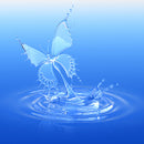 *Nuevo* Feelwave Long „WAVES“