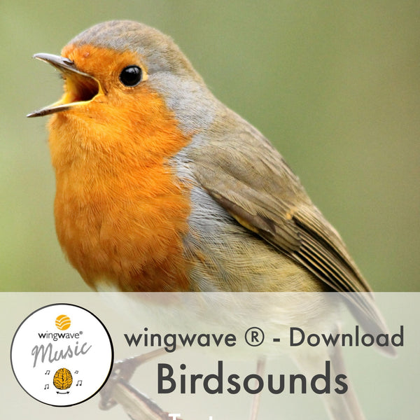 Download-MP3 Track: Birdsounds