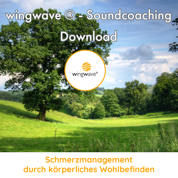 DOWNLOAD MP3: Der Schlafbaum