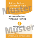 wingwave-Folder "Das wingwave-Training" (1 Paket = 20 Stck.)