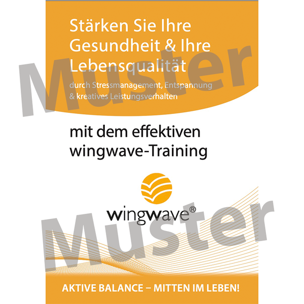 wingwave-Folder "Обучение wingwave-Training