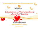 DVD - Lovesickness and the pain of separation: "Social Pain" - Coaching with wingwave, DVNLP Congress 2018